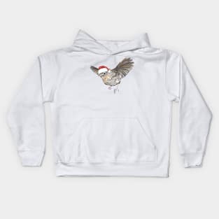 Christmas Robin Kids Hoodie